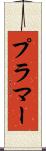 プラマー Scroll