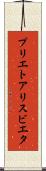 プリエトアリスビエタ Scroll