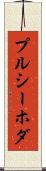 プルシーホダ Scroll