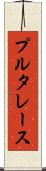 プルタレース Scroll