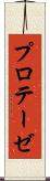 プロテーゼ Scroll