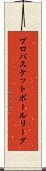 プロバスケットボールリーグ Scroll