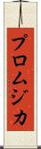 プロムジカ Scroll