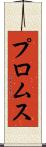 プロムス Scroll
