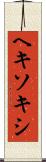 ヘキソキシ Scroll