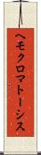 ヘモクロマトーシス Scroll