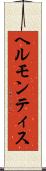 ヘルモンティス Scroll