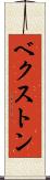ベクストン Scroll