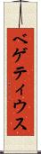 ベゲティウス Scroll
