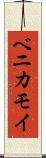ベニカモイ Scroll