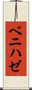 ベニハゼ Scroll