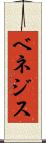ベネジス Scroll