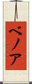 ベノア Scroll