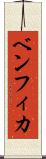 ベンフィカ Scroll
