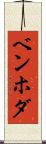 ベンホダ Scroll