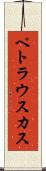 ペトラウスカス Scroll