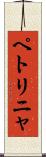 ペトリニャ Scroll