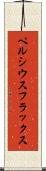 ペルシウスフラックス Scroll