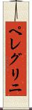 ペレグリニ Scroll