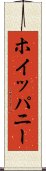 ホイッパニー Scroll