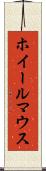 ホイール・マウス Scroll