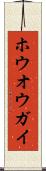 ホウオウガイ Scroll