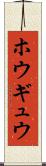 ホウギュウ Scroll