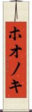 ホオノキ Scroll