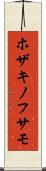 ホザキノフサモ Scroll