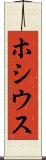 ホシウス Scroll
