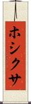 ホシクサ Scroll
