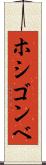 ホシゴンベ Scroll