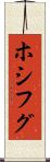 ホシフグ Scroll