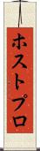 ホストプロ Scroll