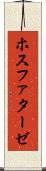 ホスファターゼ Scroll