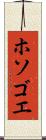 ホソゴエ Scroll