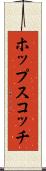 ホップスコッチ Scroll