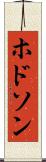 ホドソン Scroll