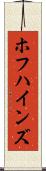 ホフハインズ Scroll