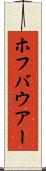 ホフバウアー Scroll