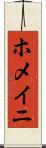 ホメイニ Scroll
