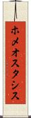 ホメオスタシス Scroll