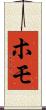 ホモ Scroll