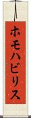 ホモハビリス Scroll
