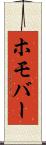ホモバー Scroll