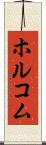 ホルコム Scroll