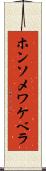 ホンソメワケベラ Scroll