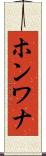 ホンワナ Scroll
