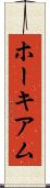 ホーキアム Scroll