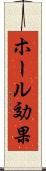 ホール効果 Scroll